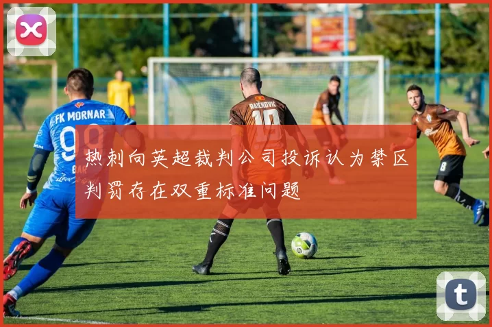 热刺向英超裁判公司投诉认为禁区判罚存在双重标准问题