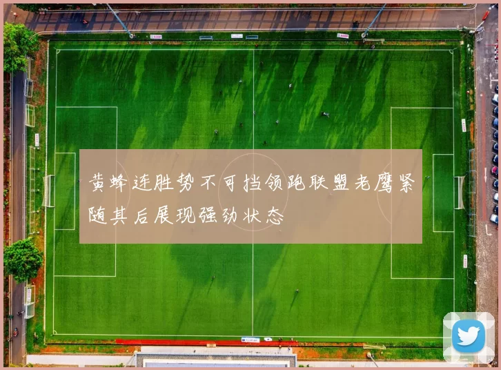 黄蜂连胜势不可挡领跑联盟老鹰紧随其后展现强劲状态